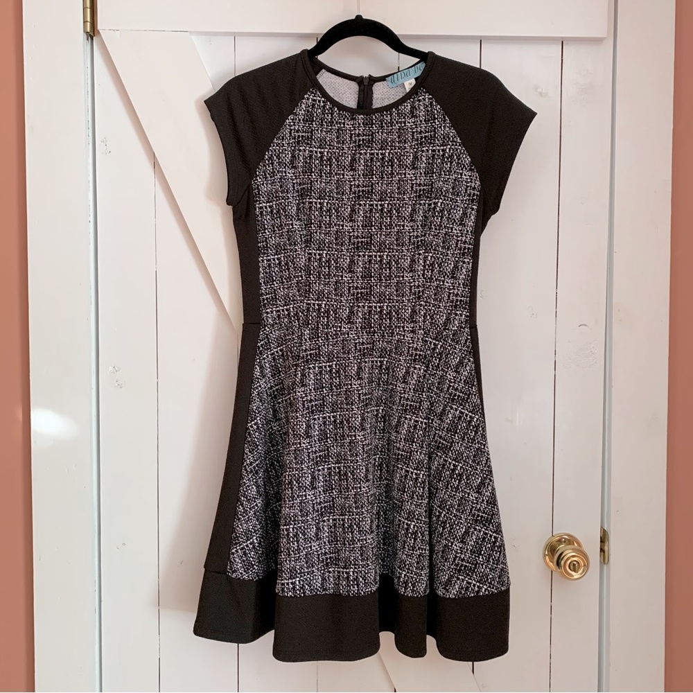 Fit and Flare Pleated Skirt Black and White Mini Skater Dress Sun Dress
